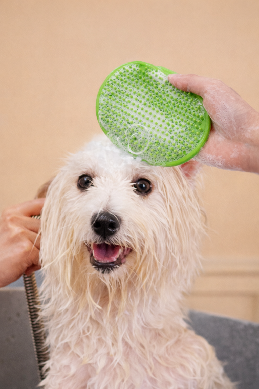 Petlora Silikon Tüy Toplayıcı & Yıkama Fırçası (Kedi & Köpek)